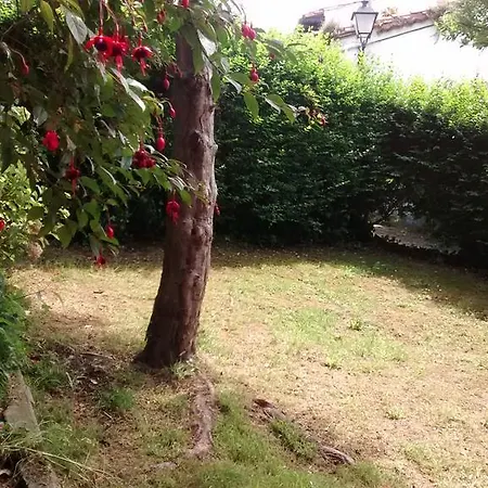 La Rosa De Los Vientos Comillas