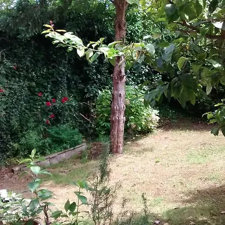 La Rosa De Los Vientos Comillas